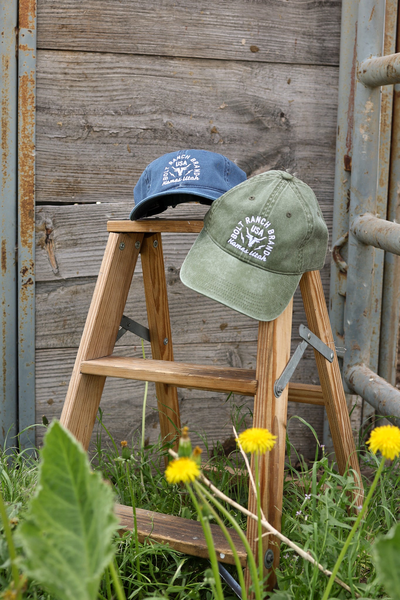Bolt Ranch Showdown Dad Hat