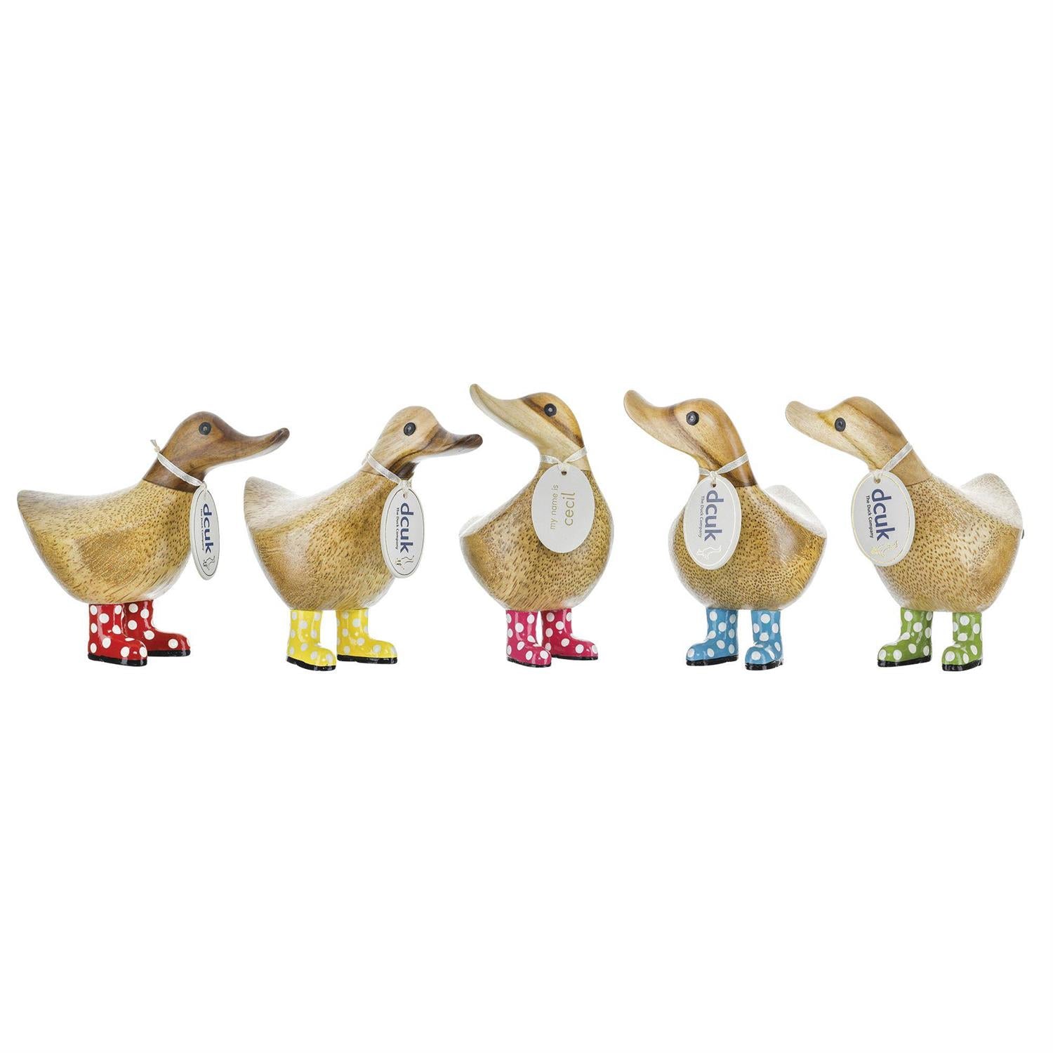 DCUK Spotty Boots Duckys order today at boltranchstore.com