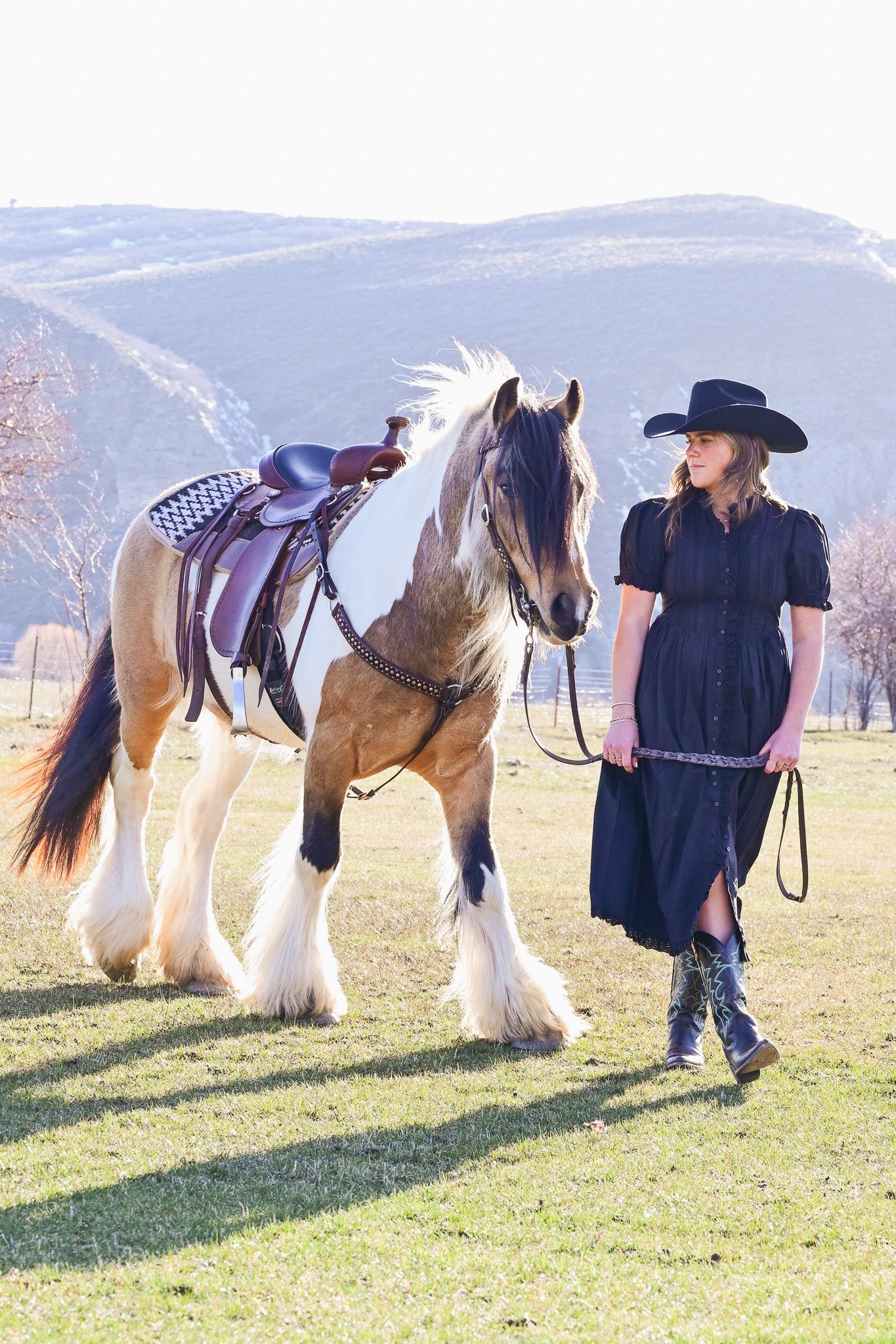 horse equine tack and supplies at Boltranchstore.com including saddles, bridles, headstalls, breast collars, spurs, blankets, kids saddle, ranch saddle, trail saddle, barrel saddle