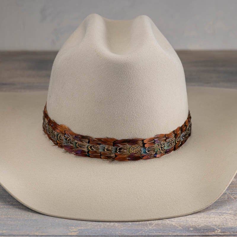 Feather Hat Band in Brazos