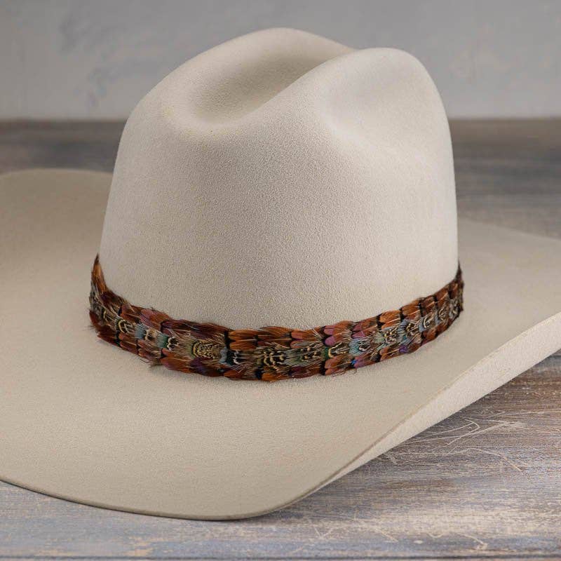 Feather Hat Band in Brazos