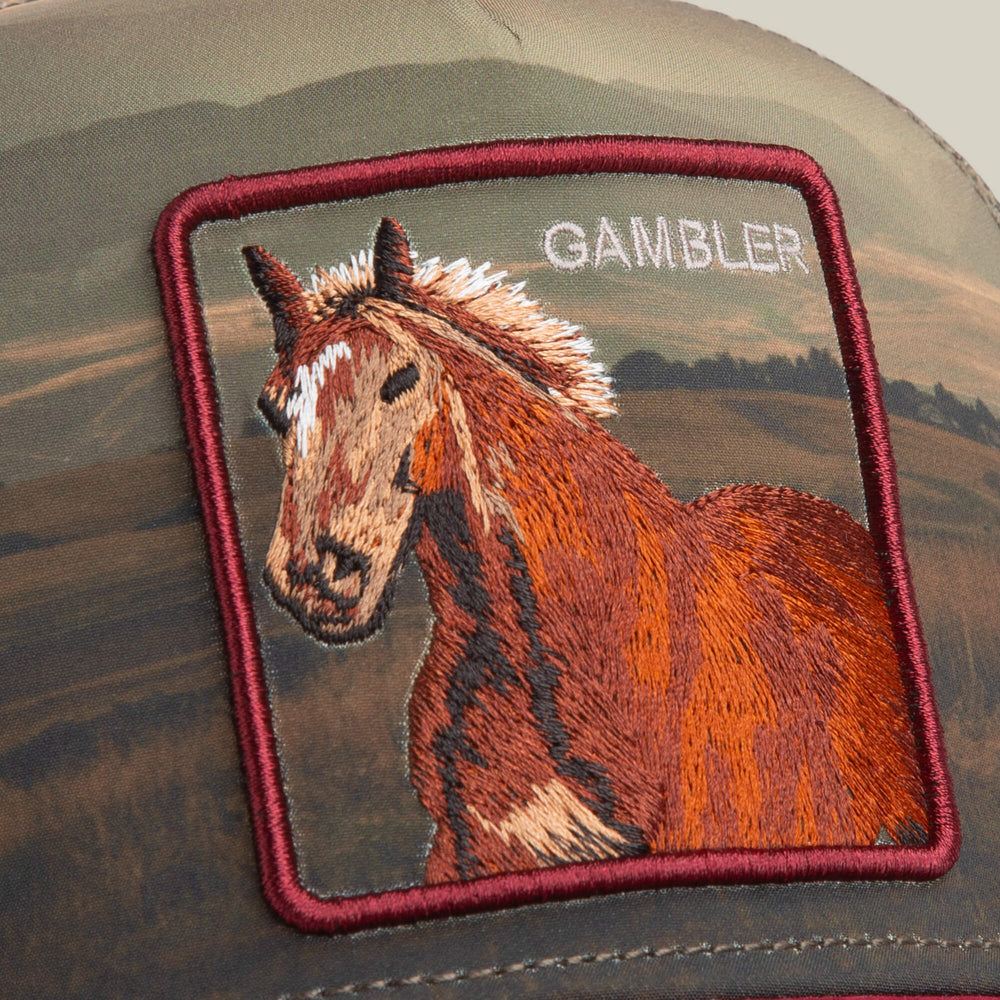 Goorin Bros Stallion In The Element