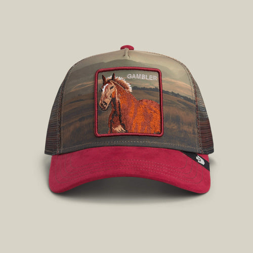 Goorin Bros Stallion In The Element 101-2698-CRU01 horse western fashion hat cap Boltranchstore.com Free Shipping