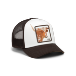 A brown and white trucker hat with a white front panel, dark brown mesh back, and a square patch featuring a brown longhorn steer illustration. The patch has the brand name 'STUD' written on it.