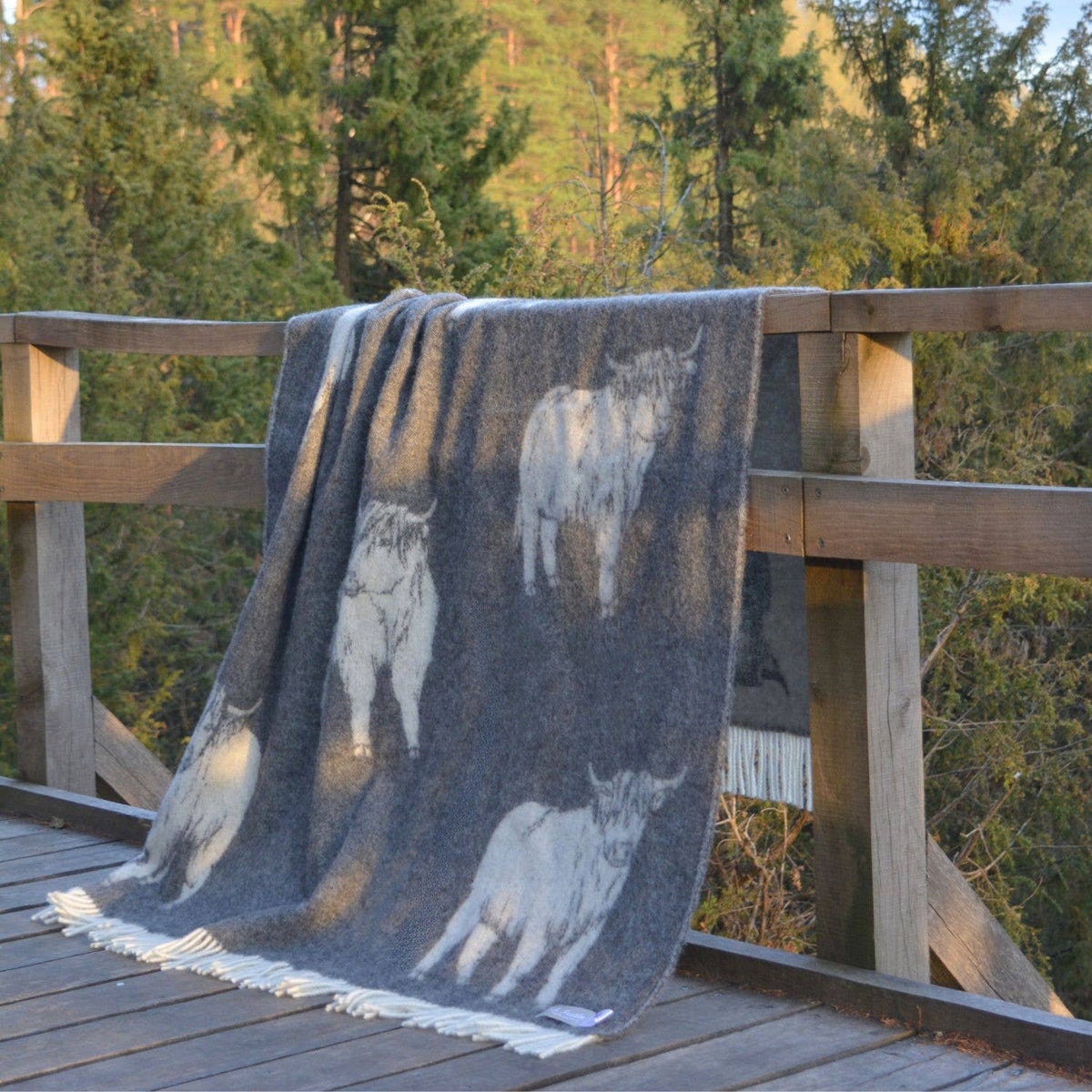JJ Textile Soft Black Highland Cow Pure Wool Throw