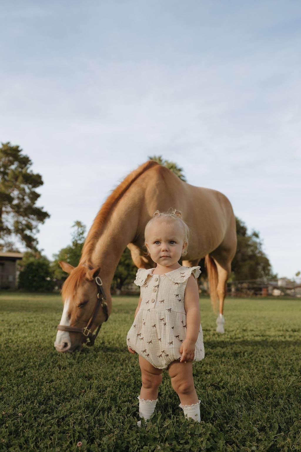 Muslin Romper in Wild Horses