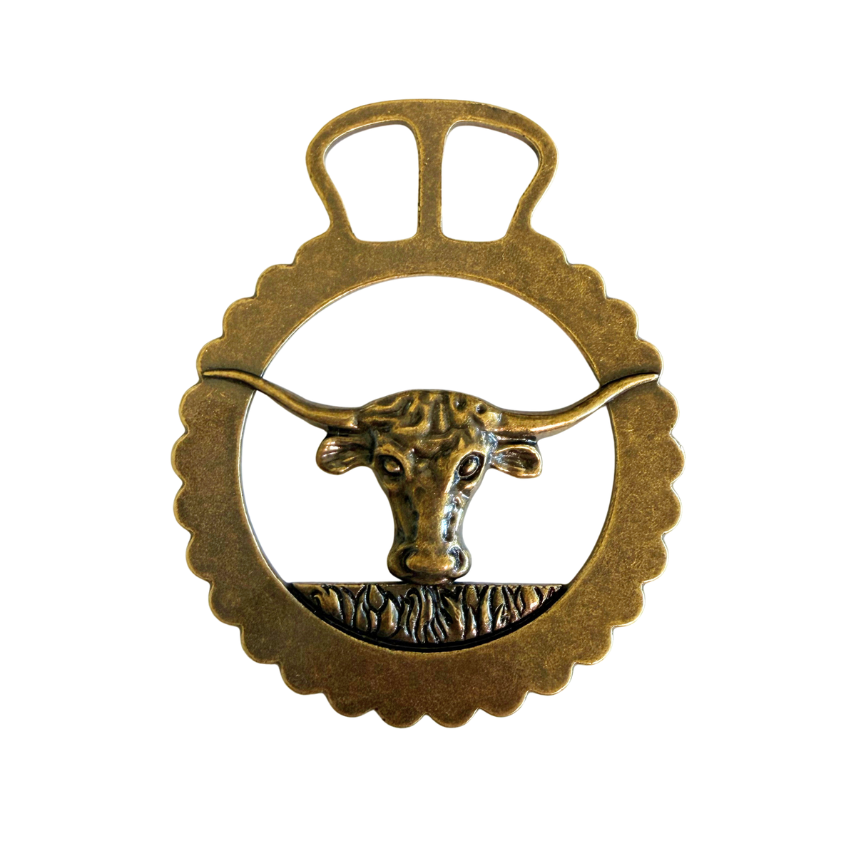 Fringe Slide Harnessed Longhorn three and a quarter by four inch medallion size rodeo
