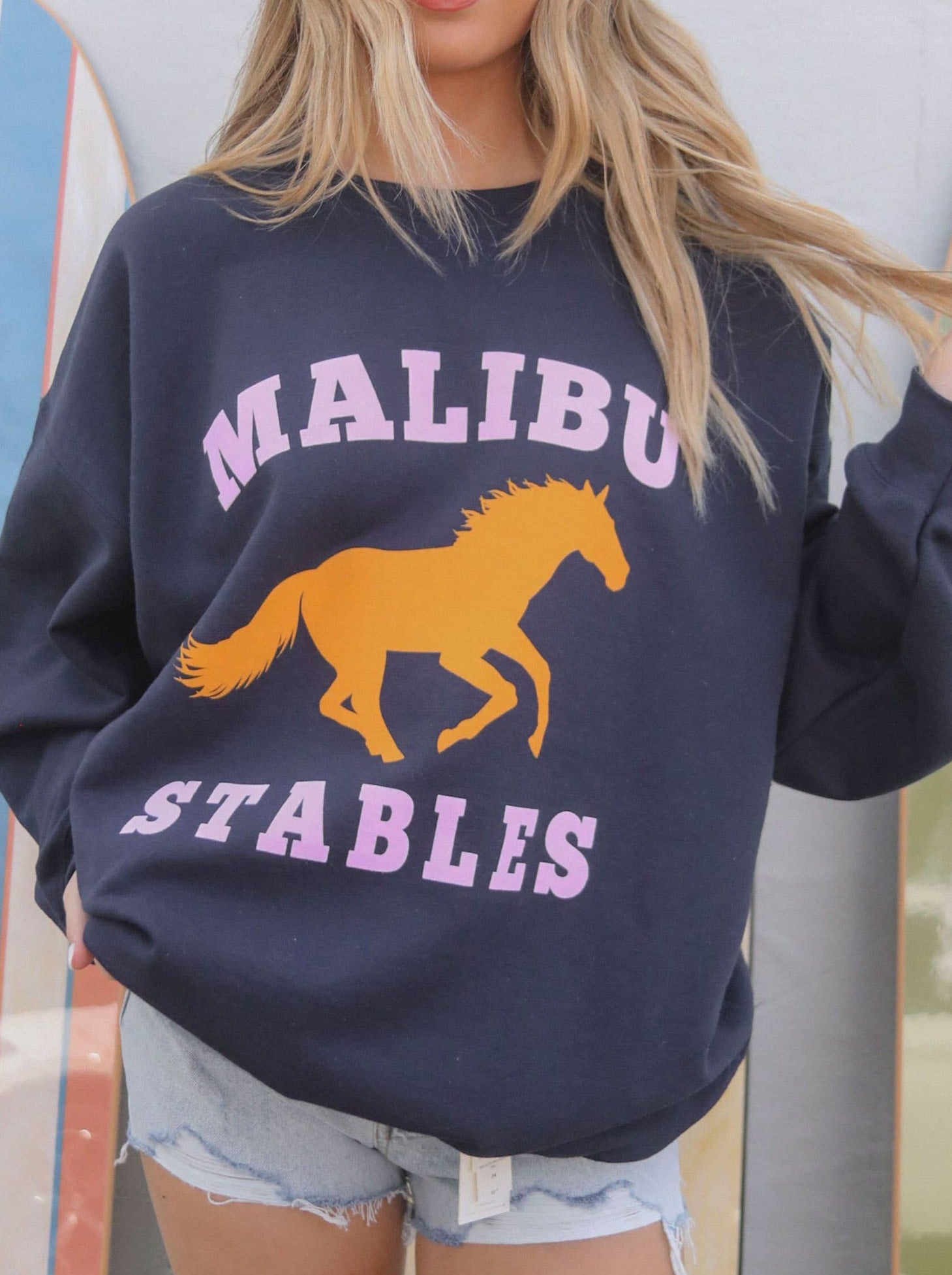 Malibu Stables Crewneck
