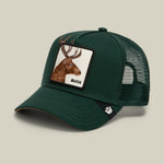 Goorin Bros Over the Line Buck classic trucker silhouette with a structured front and precurved brim cowgirl style