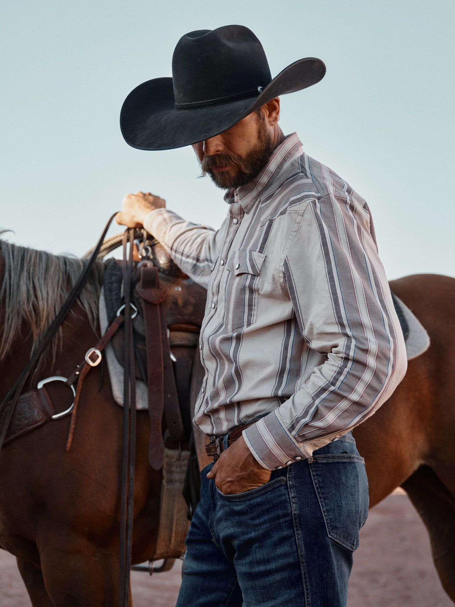 Schaefer Western Stretch Shirt in Gruene