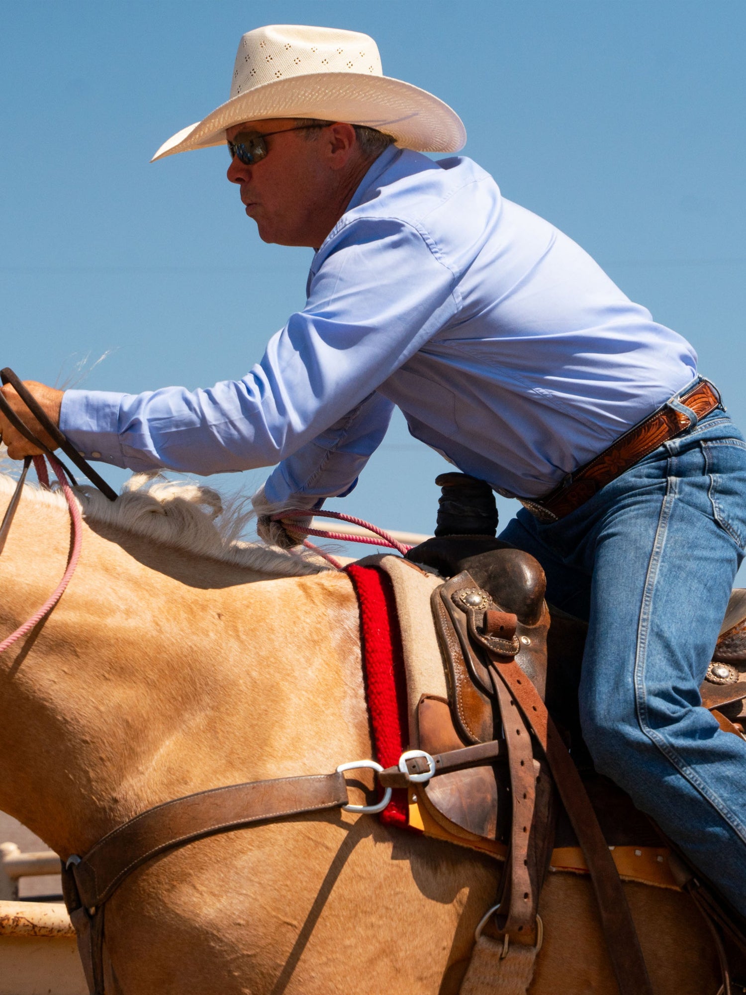 Schaefer Classic Pinpoint Button Shirt in Blue