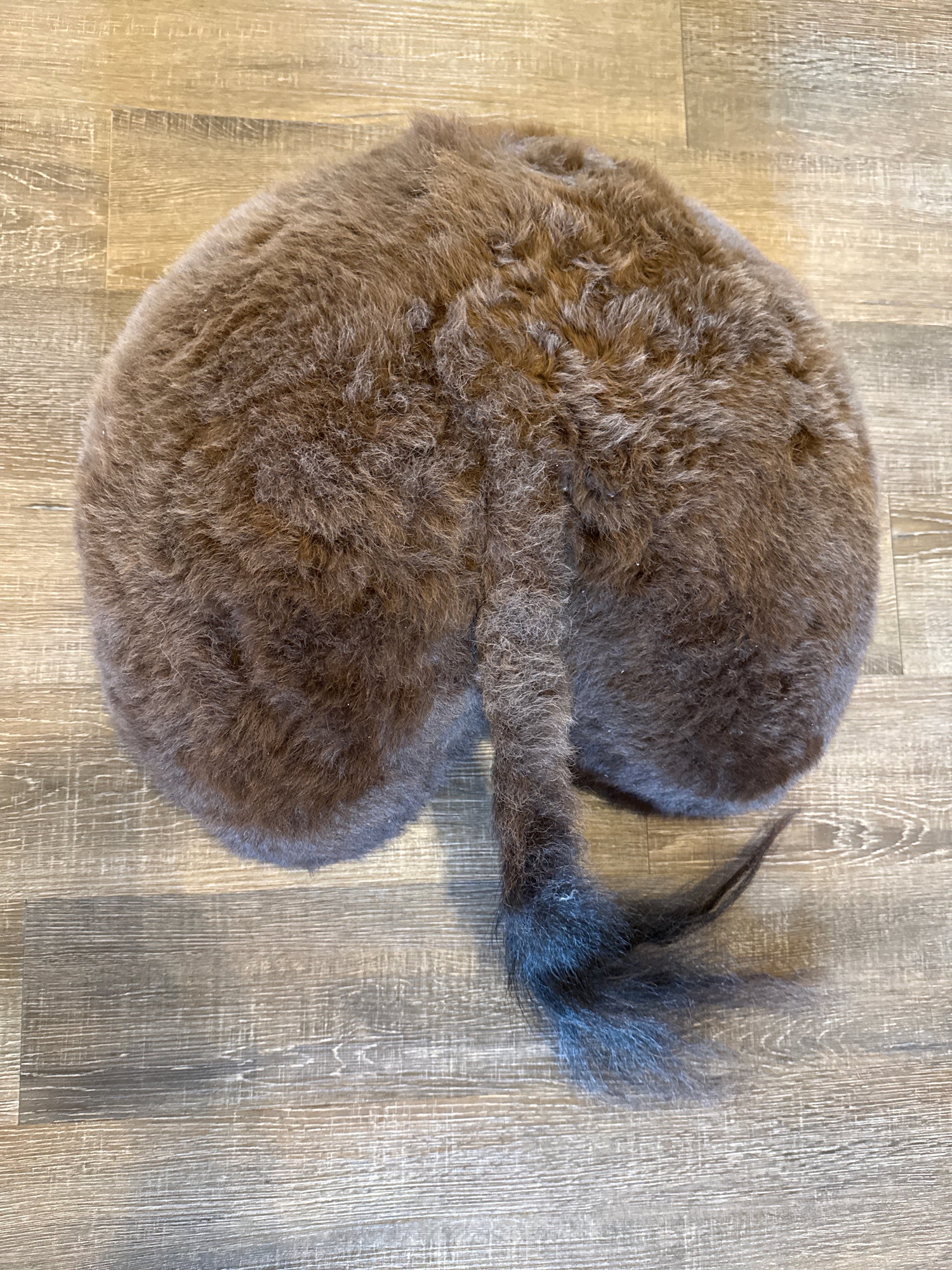 North End Of A Southbound Buffalo Mount