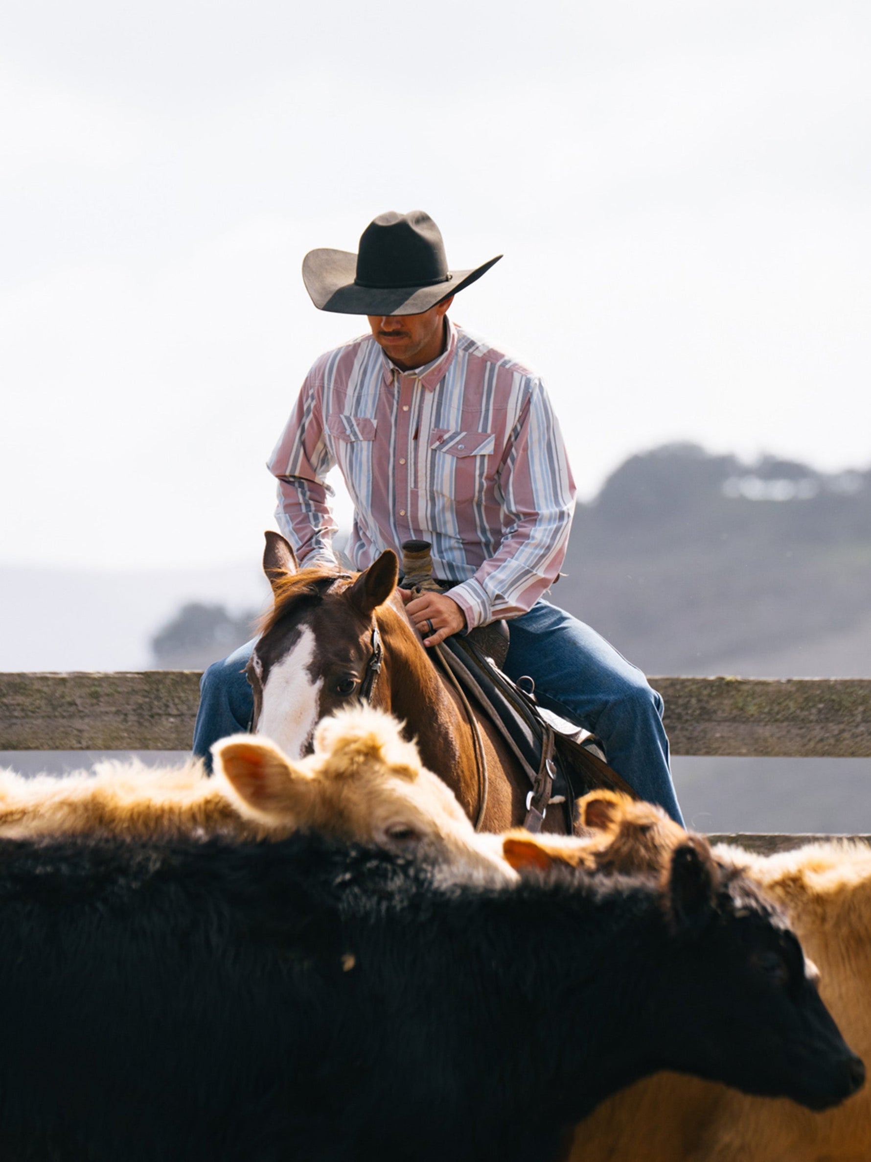 Schaefer Rangetek Western Guide Snap Shirt Weatherford free shipping at boltranchstore.com zach top
