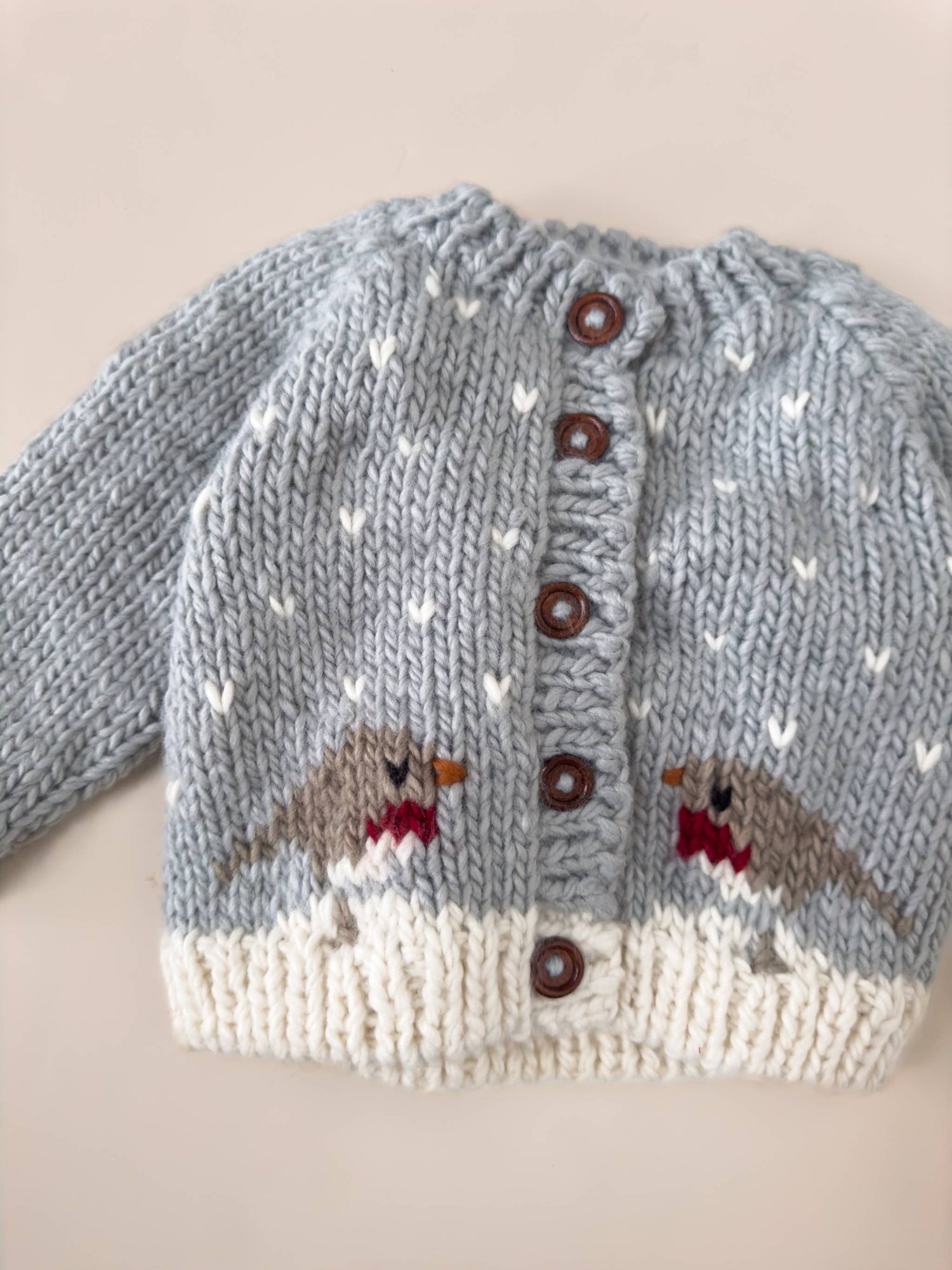 Robin Winter Baby Infant Cardigan