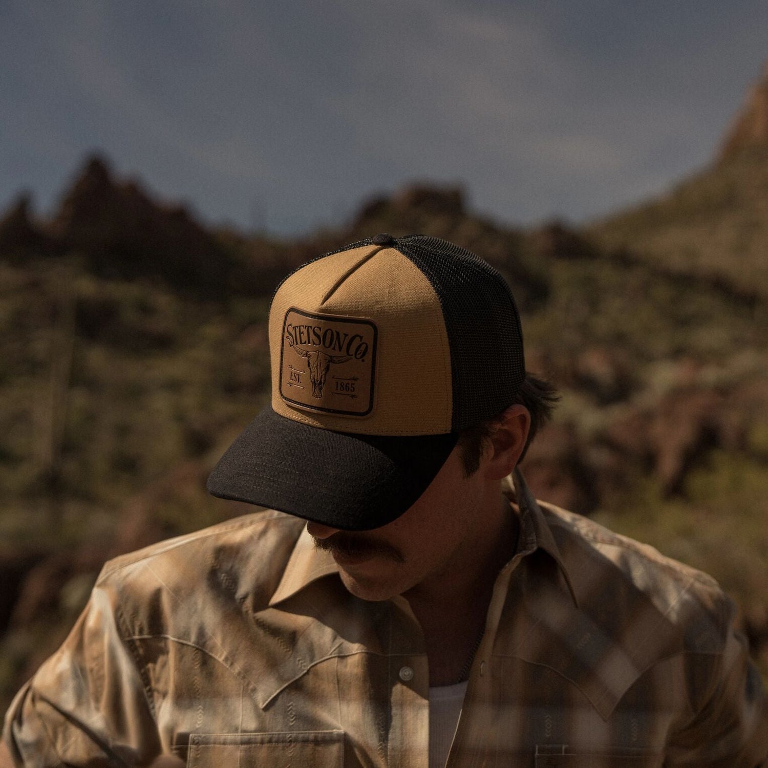 Stetson Longhorn Patch Trucker Hat