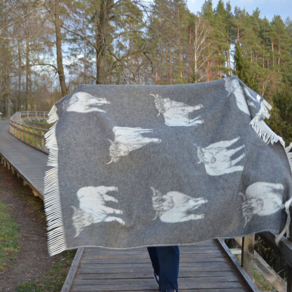 JJ Textile Soft Black Highland Cow Pure Wool Throw