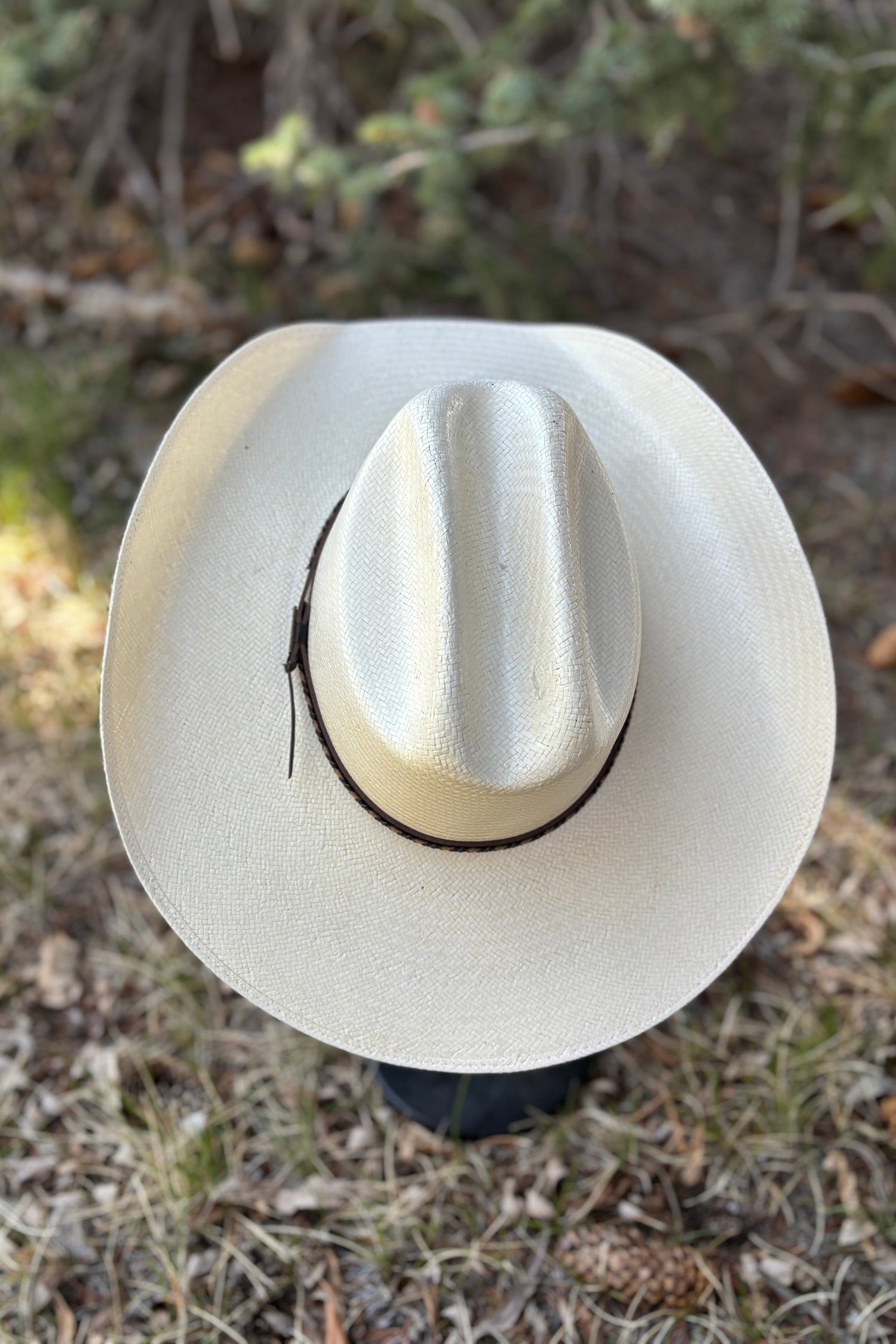 Stetson Westfield Straw Hat
