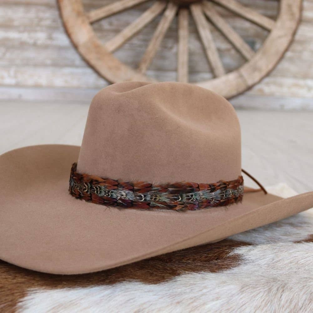 Feather Hat Band in Brazos