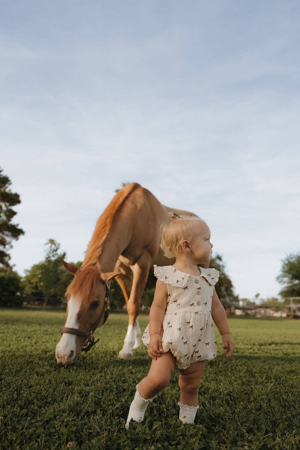 Muslin Romper in Wild Horses