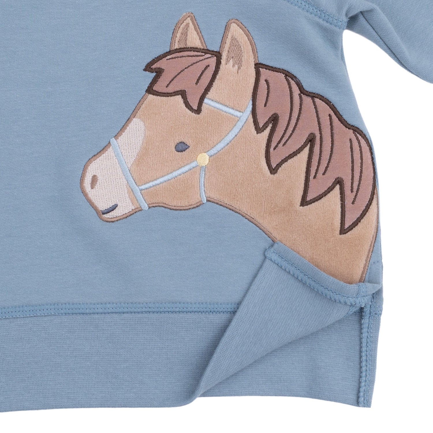 Horse Head Raglan Sweatshirt