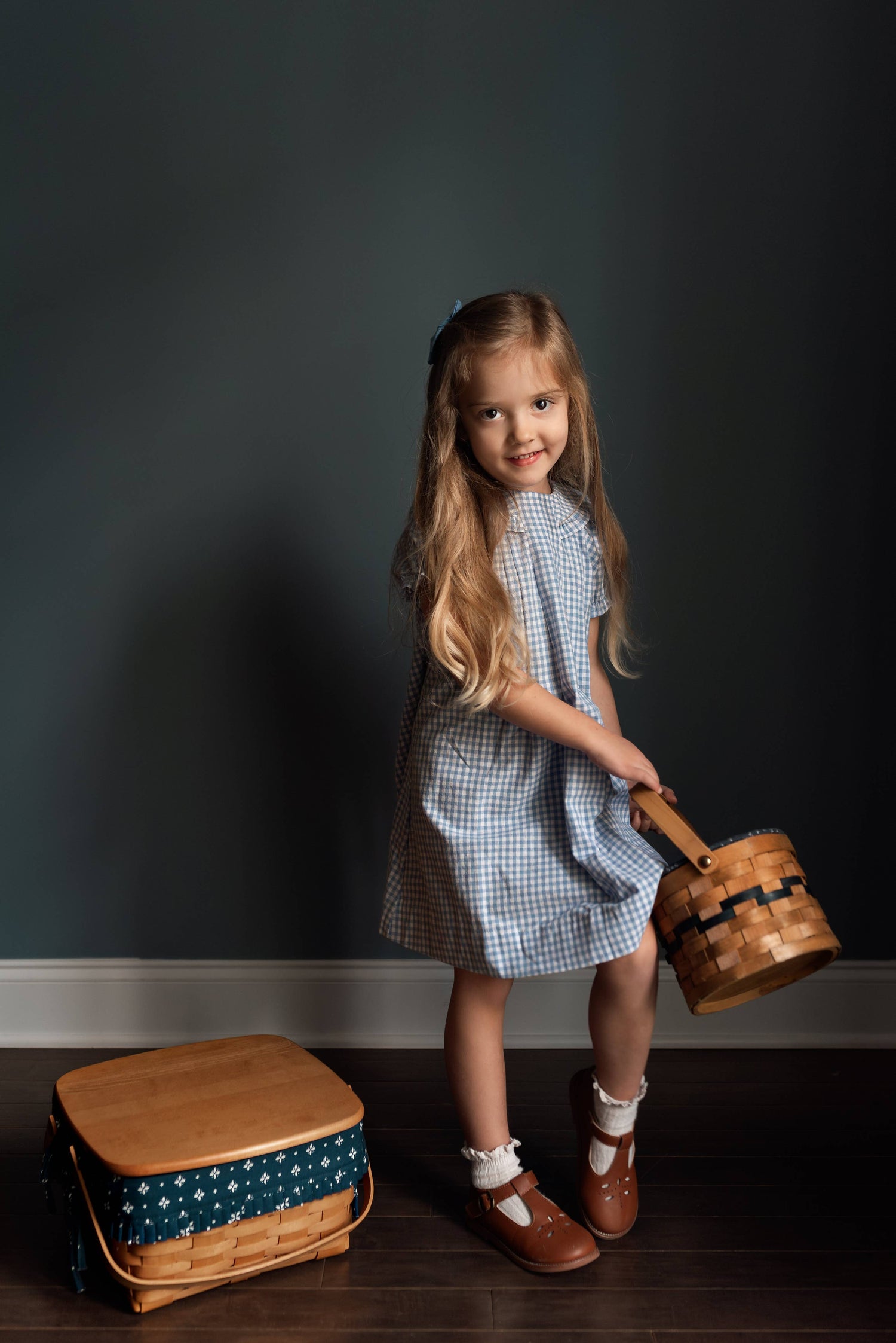 Bluebell Gingham Ruffle Collar Dress