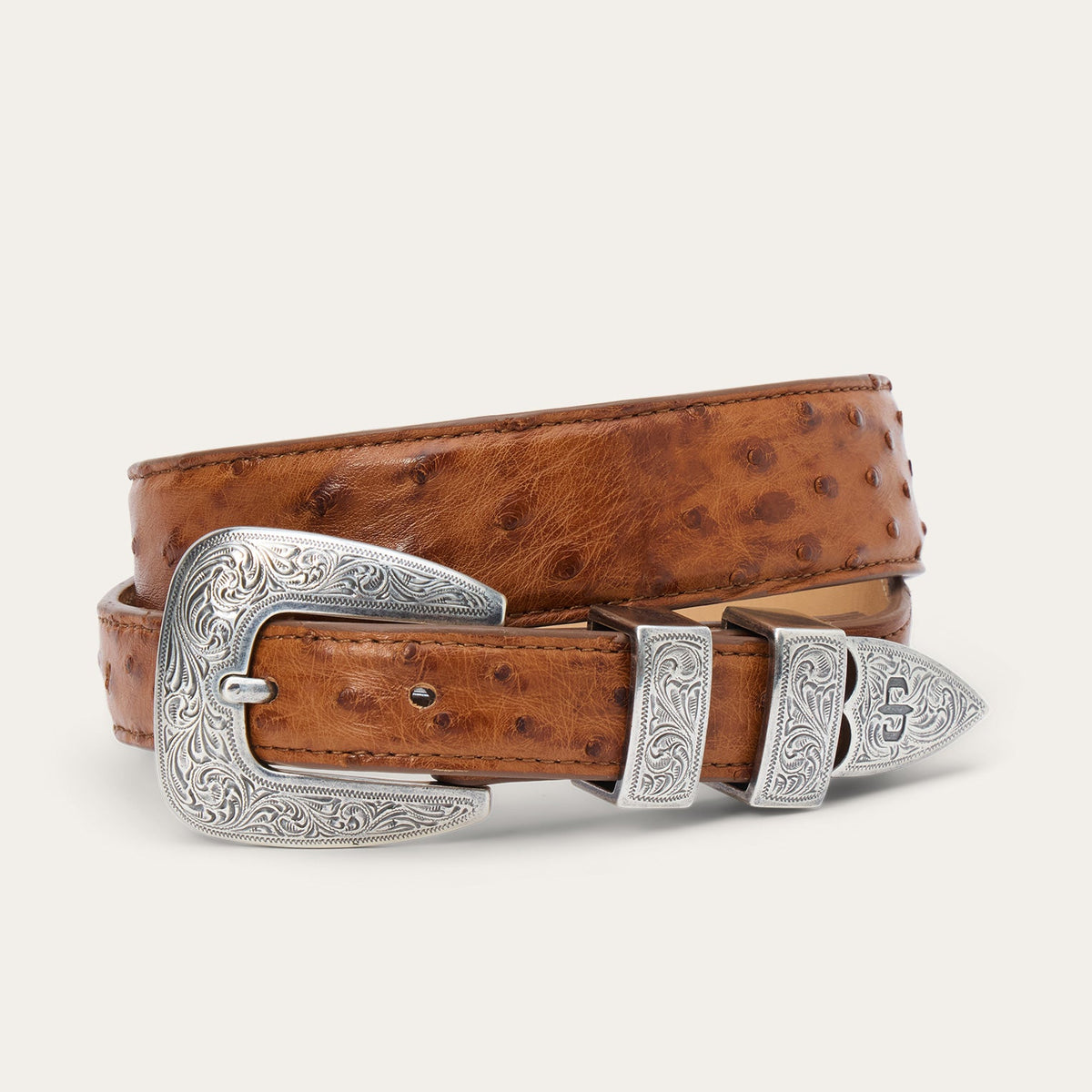 Stetson Ostrich Tapered Tab Belt free shipping at boltranchstore.com 9406790 brown ostrich western fashion