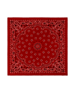 The Great Silk Bandana True Red classic red silk habotai bandana with paisley print womens western boutique Utah SKU A143673TRREDOS