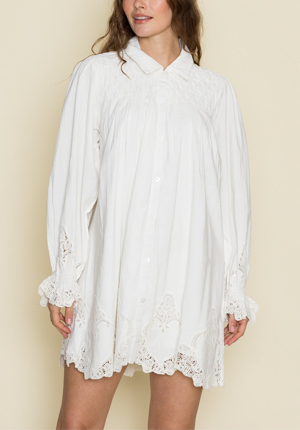 Leona Mini Dress White Lace Embroidery womens dress summer white bolt ranch store
