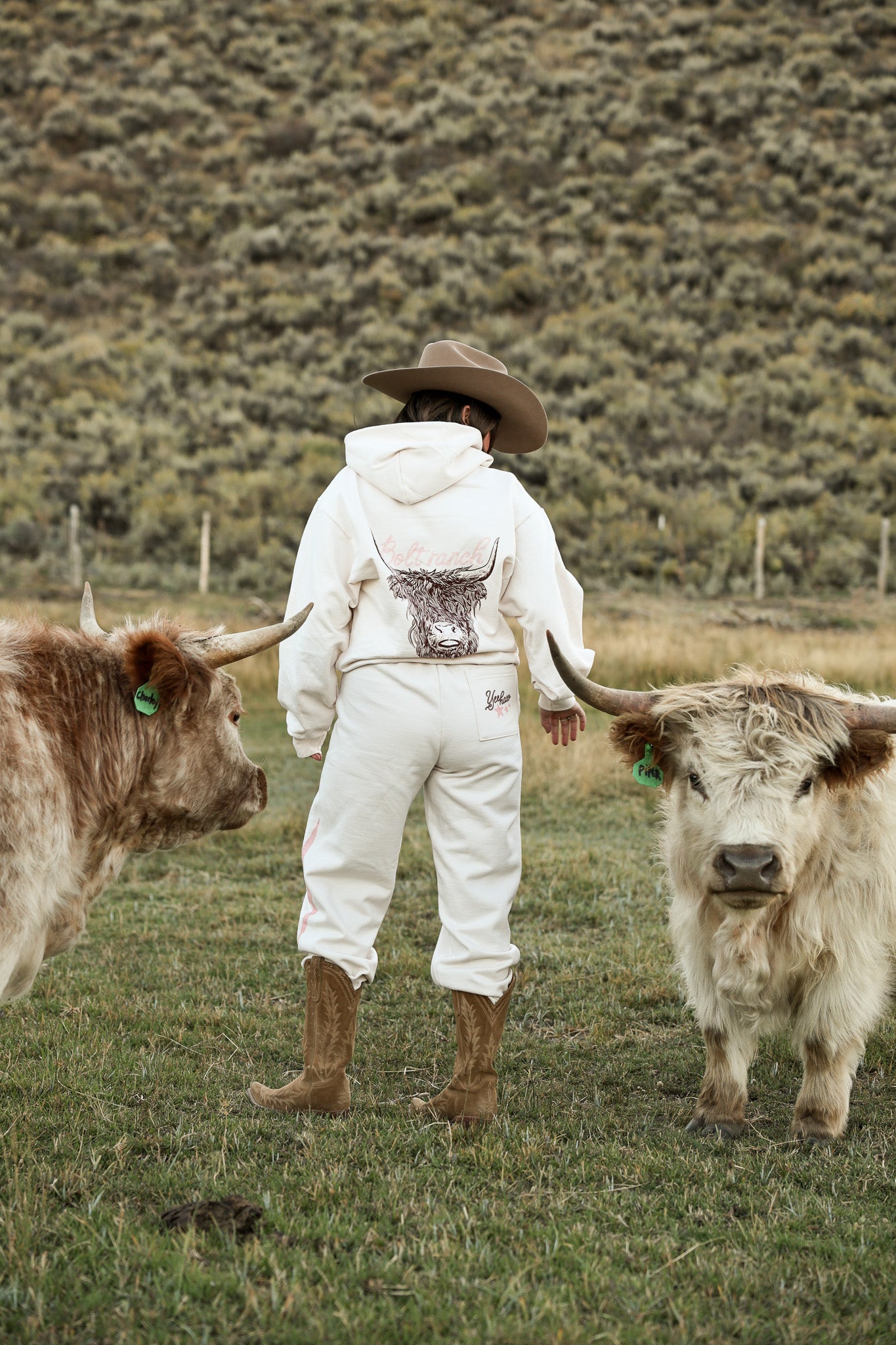 Bolt Ranch Scottish Highland Hoodie