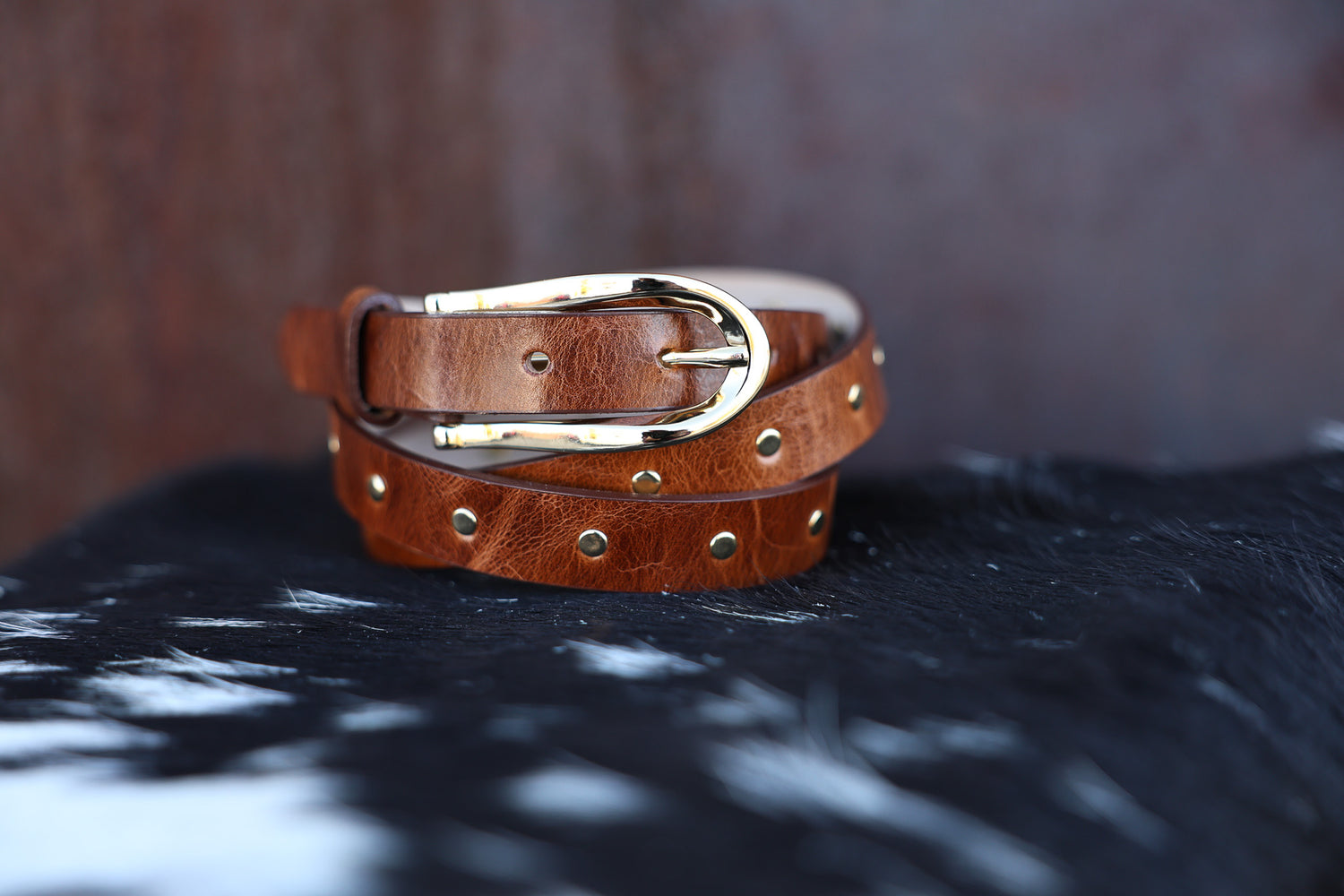 Gold Rivet Brown Belt