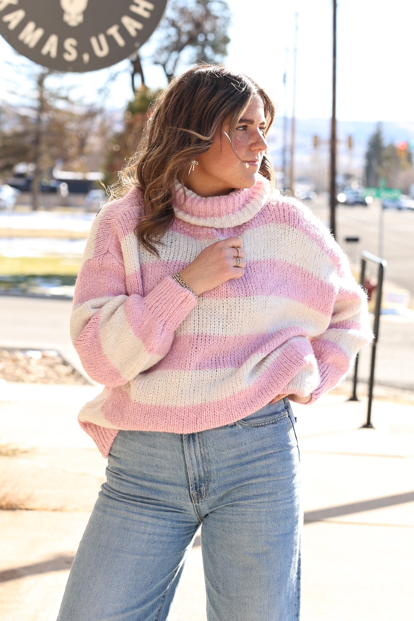 Liana Turtleneck Striped Sweater