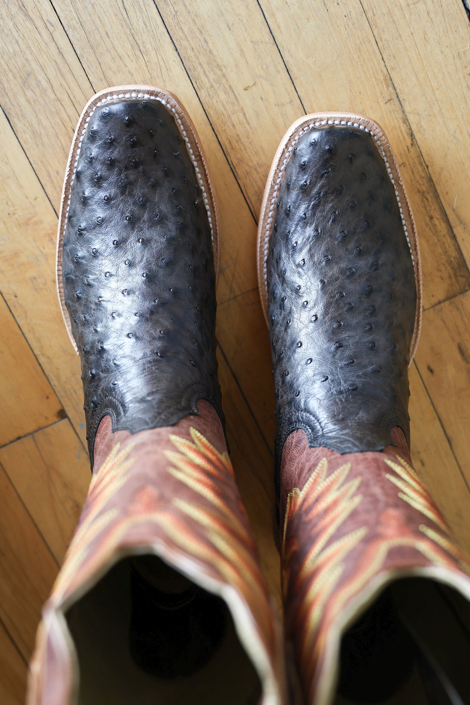 R Watson Mens Full Quill Ostrich Square Boot