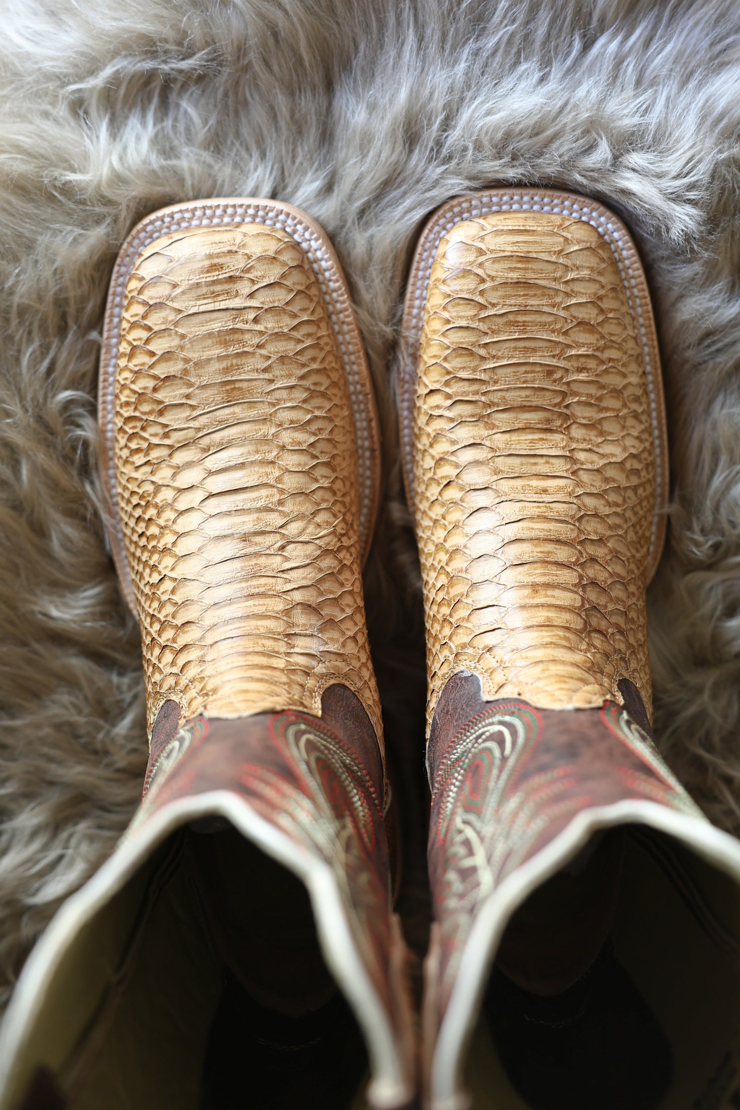 R Watson Mens Python Wide Square Boots