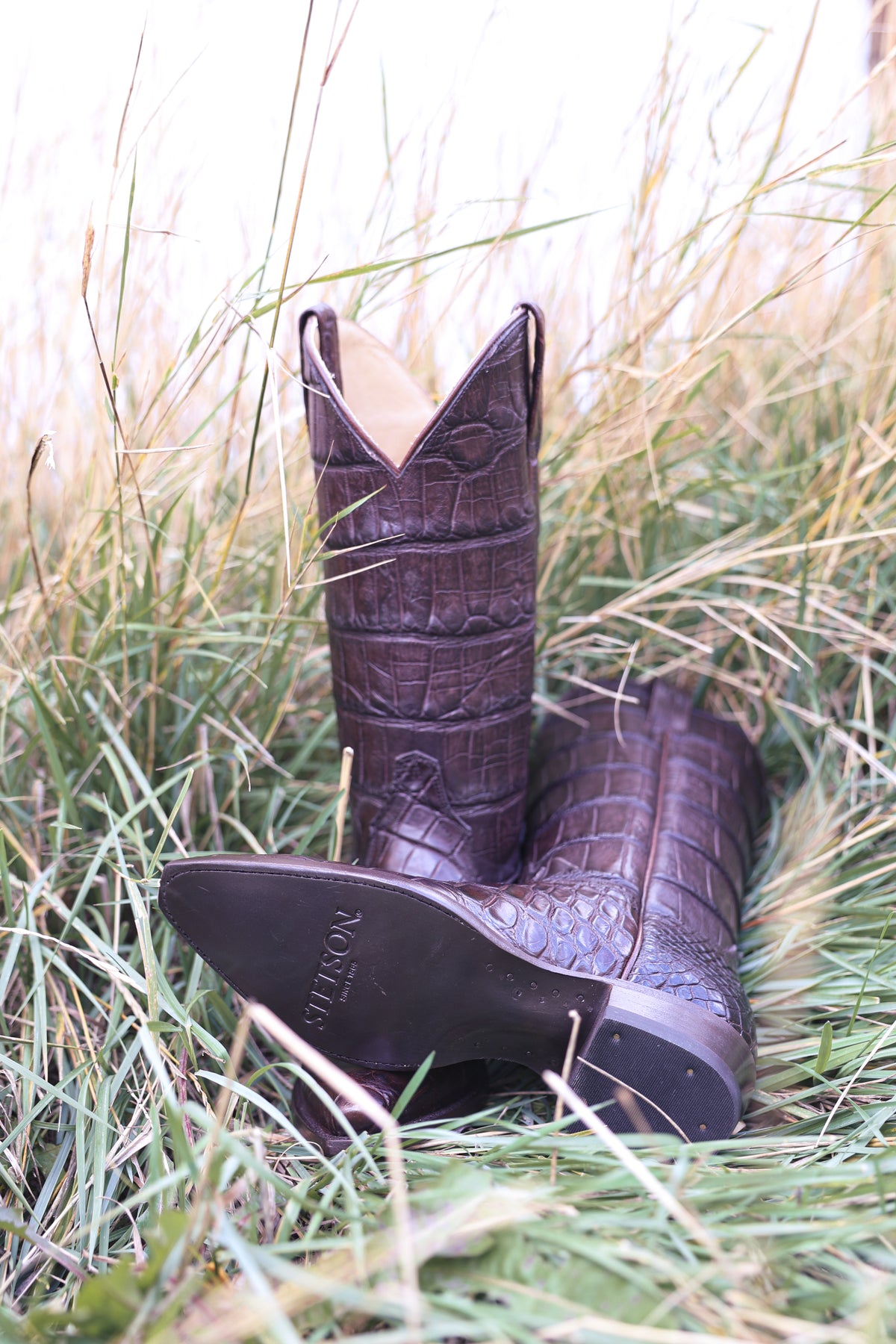 Stetson Womens Sterling Alligator Boots