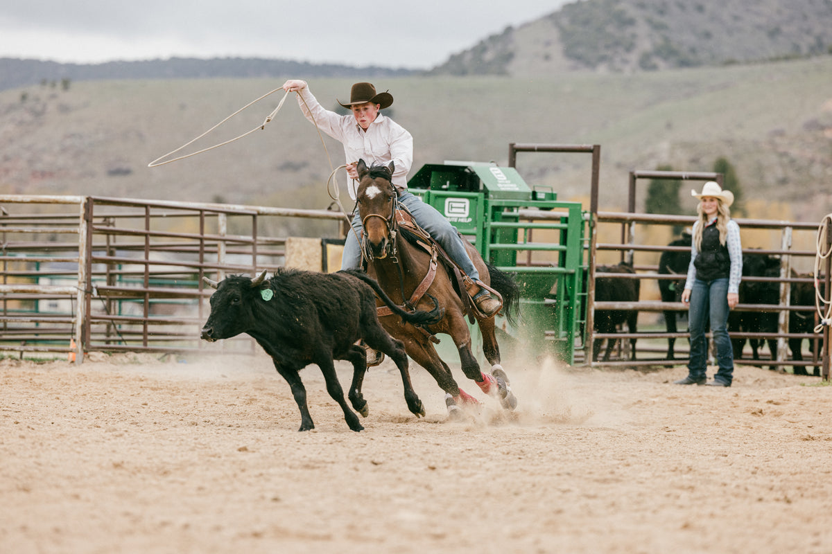 Bolt Ranch Store