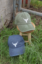 Bolt Ranch Branded Dad Hat green blue unisex summer cap boltranchstore.com