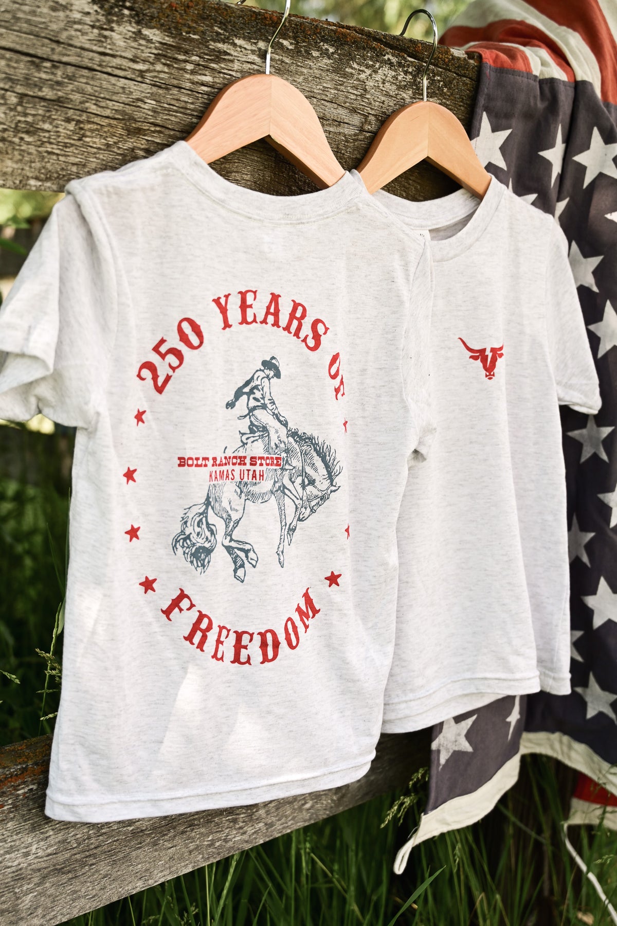 Bolt Ranch Toddler 250 Freedom T Shirt kids gray america rodeo cowboy boys girls tee boltranchstore.com Free Shipping July America