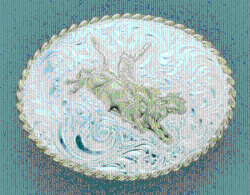 Crumrine Equine Buckle
