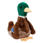 Douglas Desie Mallard Duck