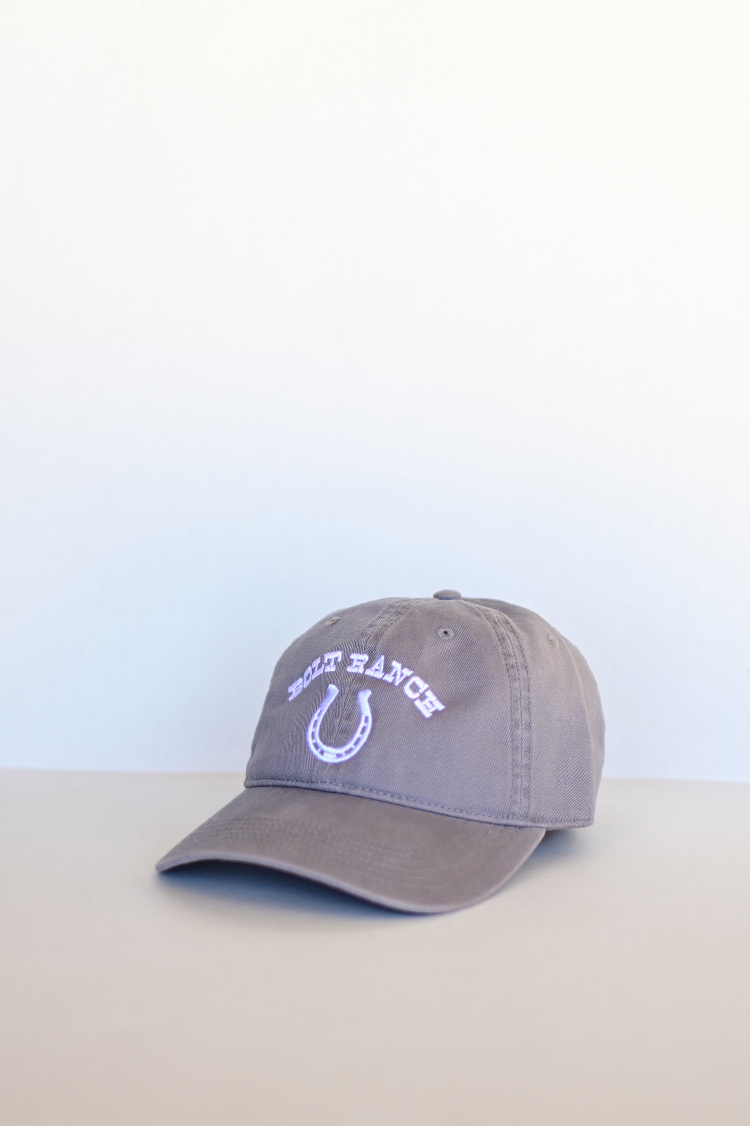 Bolt Ranch Silver Spur Relaxed Dad Hat