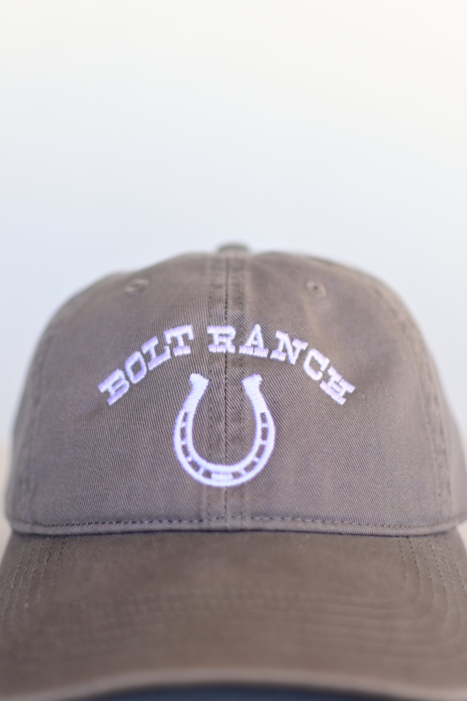 Bolt Ranch Silver Spur Relaxed Dad Hat