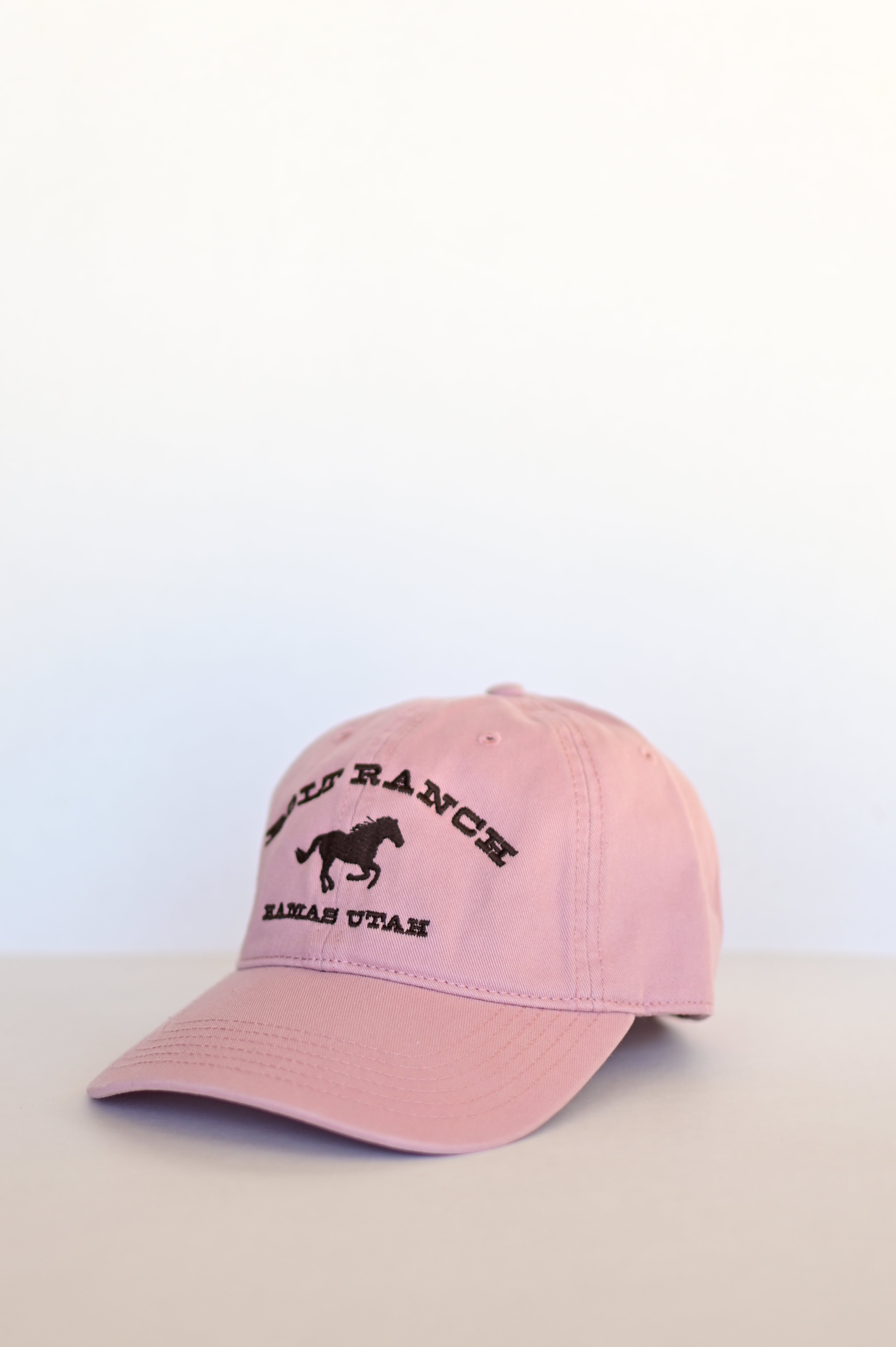 Bolt Ranch Dust Trail Relaxed Dad Hat – Bolt Ranch Store