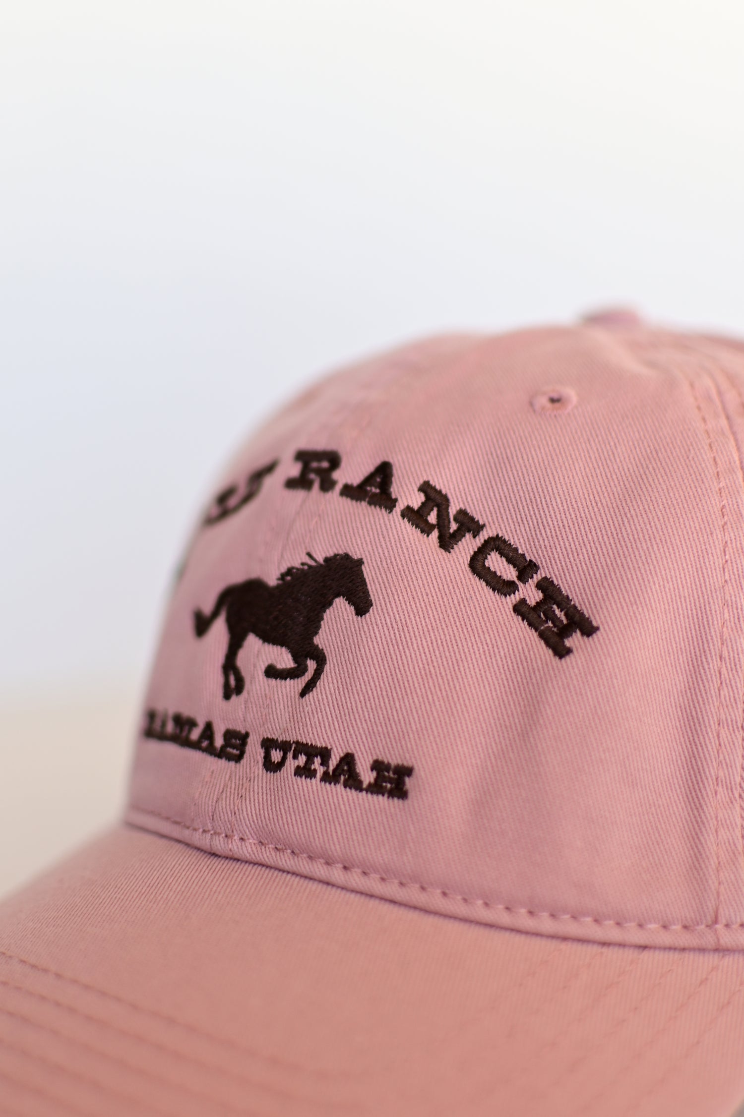 Bolt Ranch Dust Trail Relaxed Dad Hat