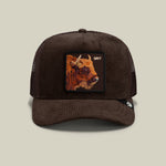 Goorin Bros Corduroy Grit dark brown corduroy trucker cap with a buffalo patch reading GRIT western clothing Utah SKU 1013185GRO01OS