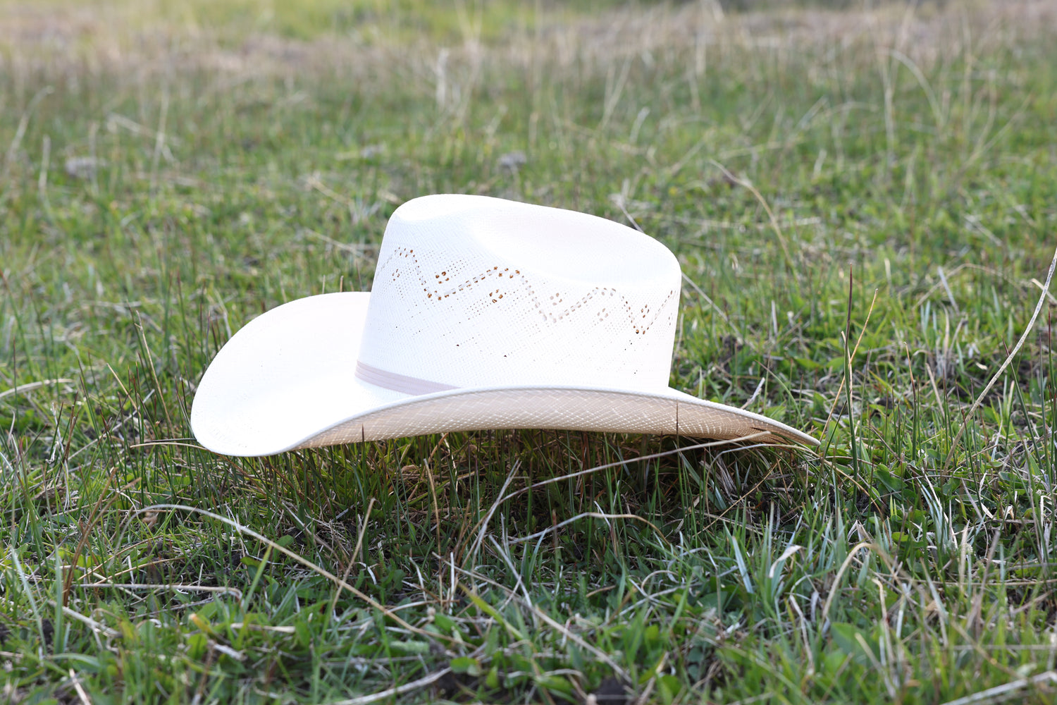 Resistol Dakota Ridge Straw Cowboy Hat - Natural