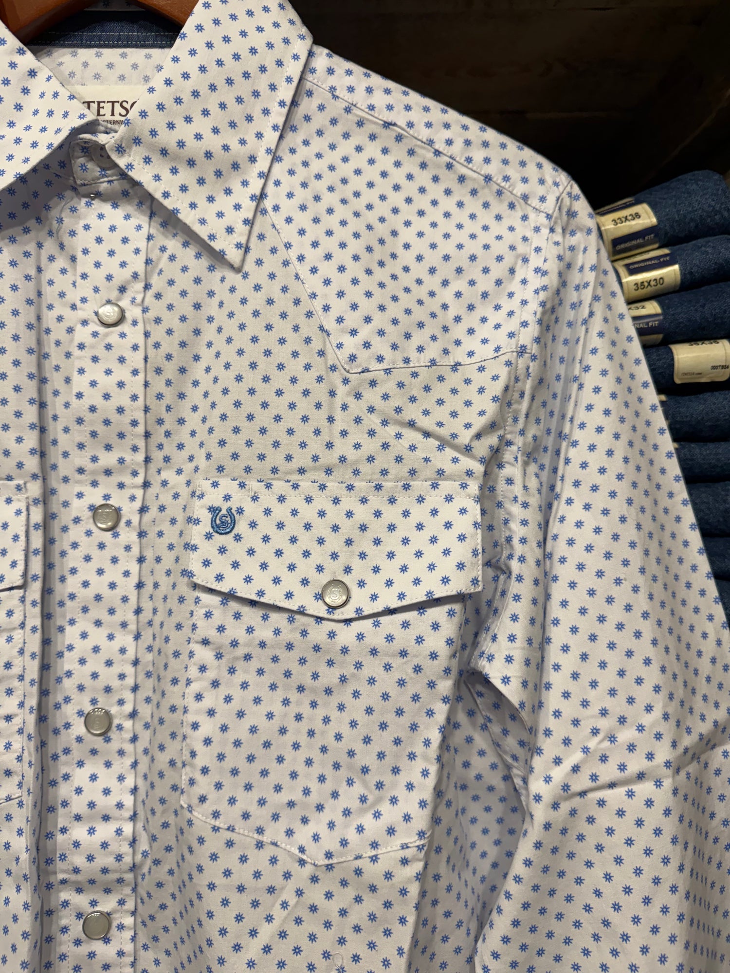 Stetson Mens Silver Spur Print Shirt