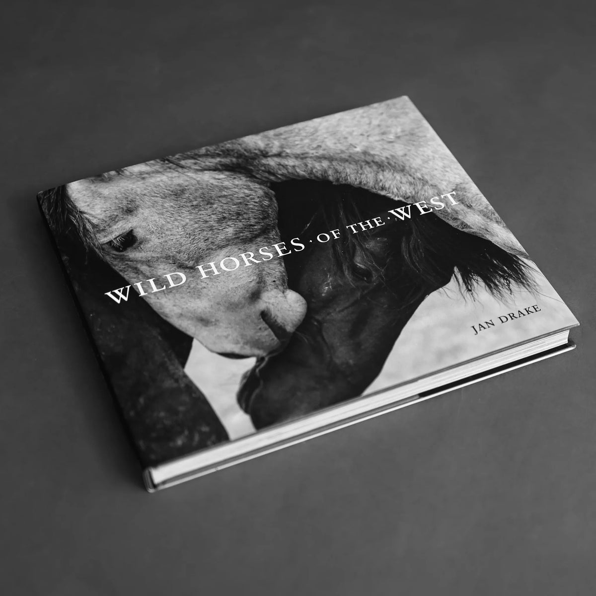 Jan Drake Wild Horses of the West buy at Boltranchstorecom wild horses western books
