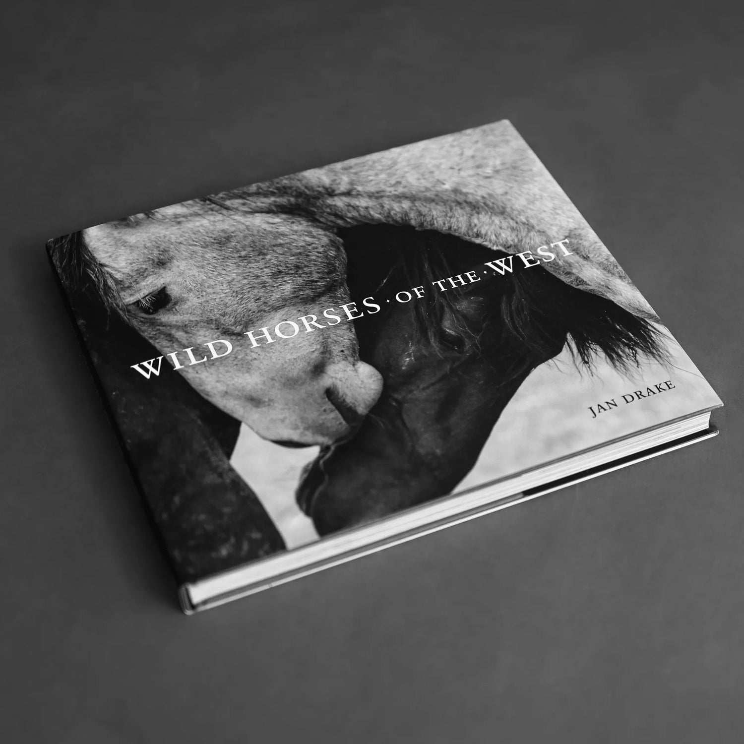 Jan Drake Wild Horses of the West buy at Boltranchstorecom wild horses western books