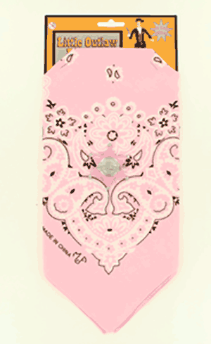 Little Outlaw Pink Bandana and Badge