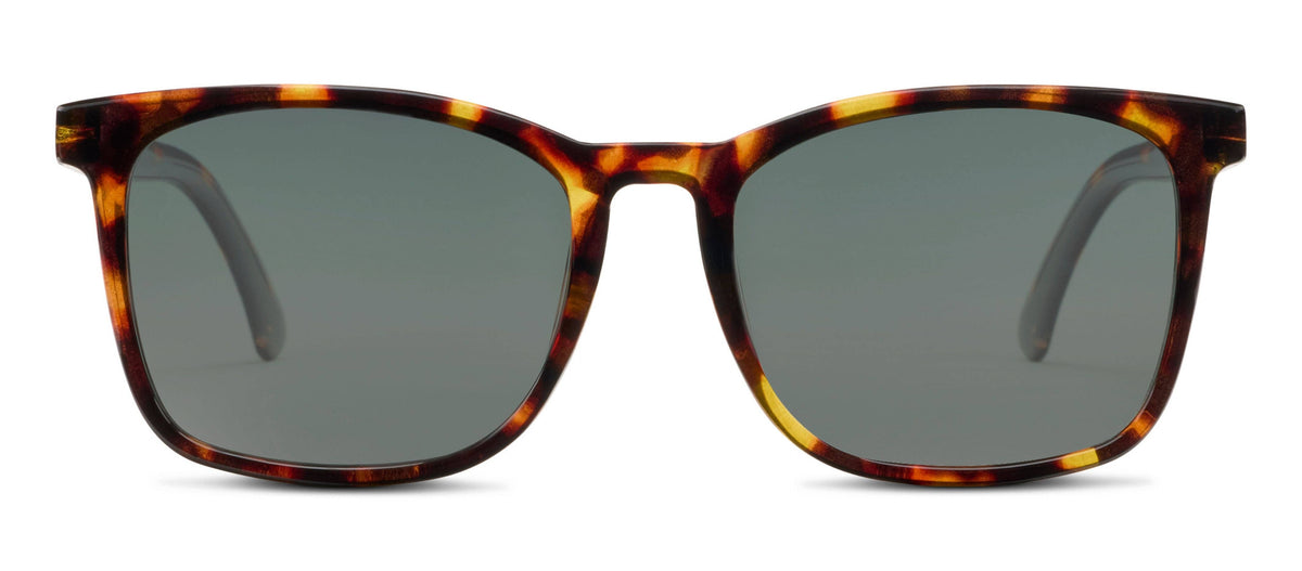 Mateo Sun Polarized Sunglasses order at boltranchstore.com